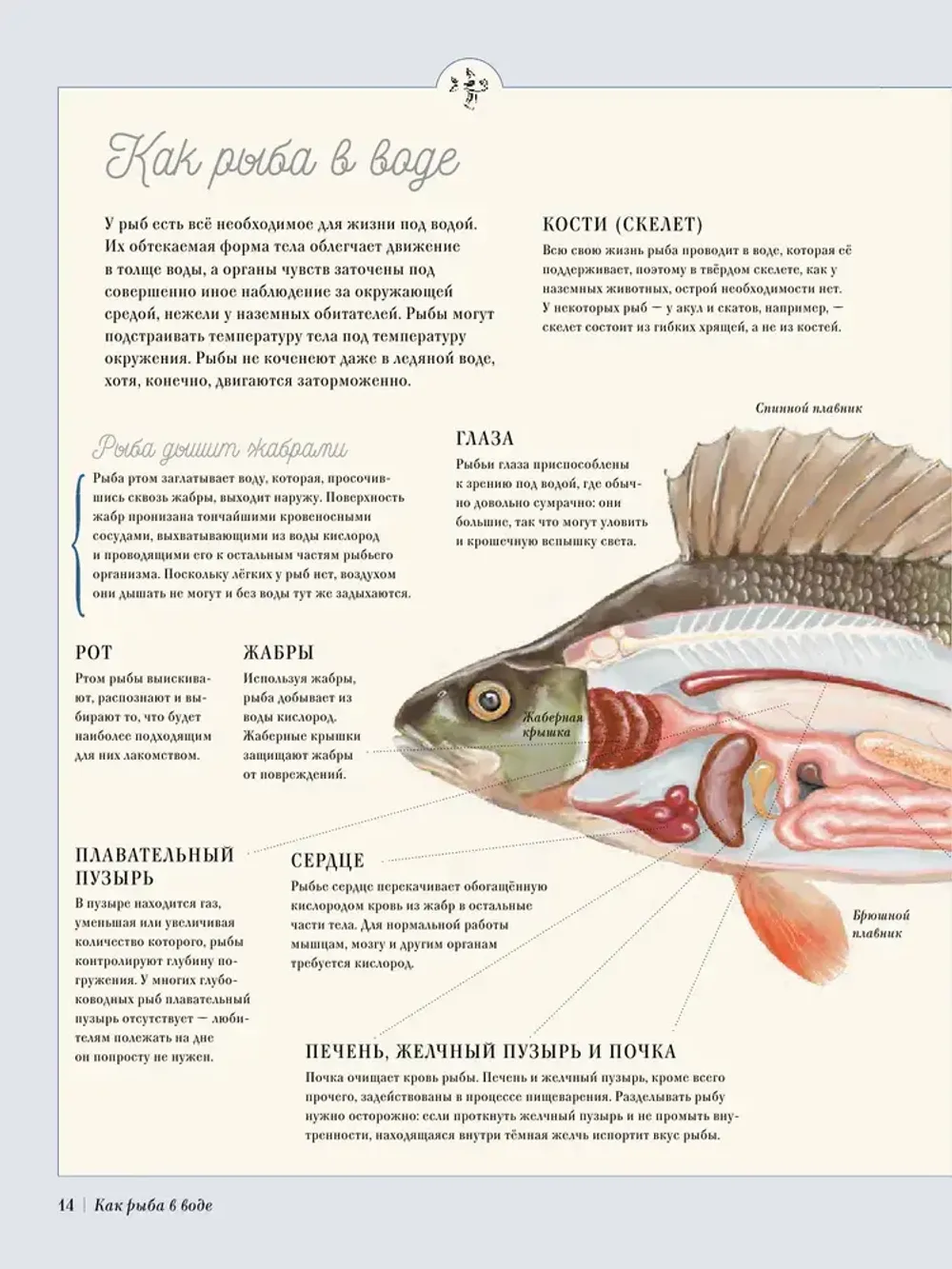 Книга Муми-тролли на рыбалке