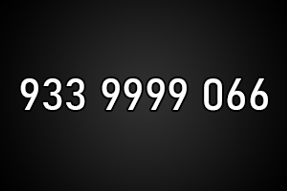 9339999066