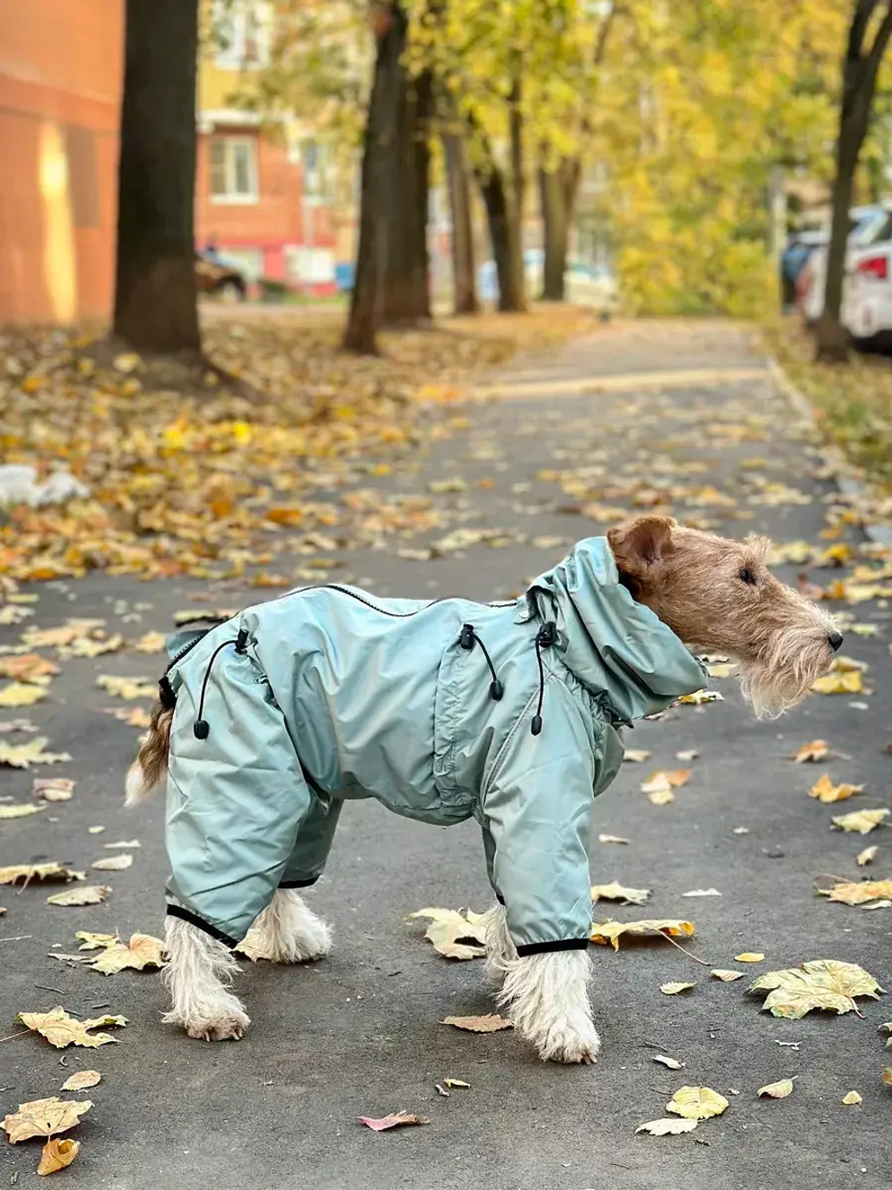 Комбинезон для собак крупных средних пород теплый