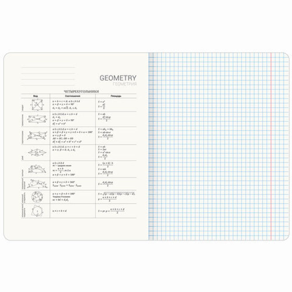 Тетрадь предметная МЕМЫ 48 л., TWIN-лак, ГЕОМЕТРИЯ, клетка, подсказ, BRAUBERG, 405101