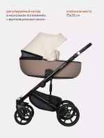 Коляска OZON Ecco (3 в 1) (RIKO BASIC)