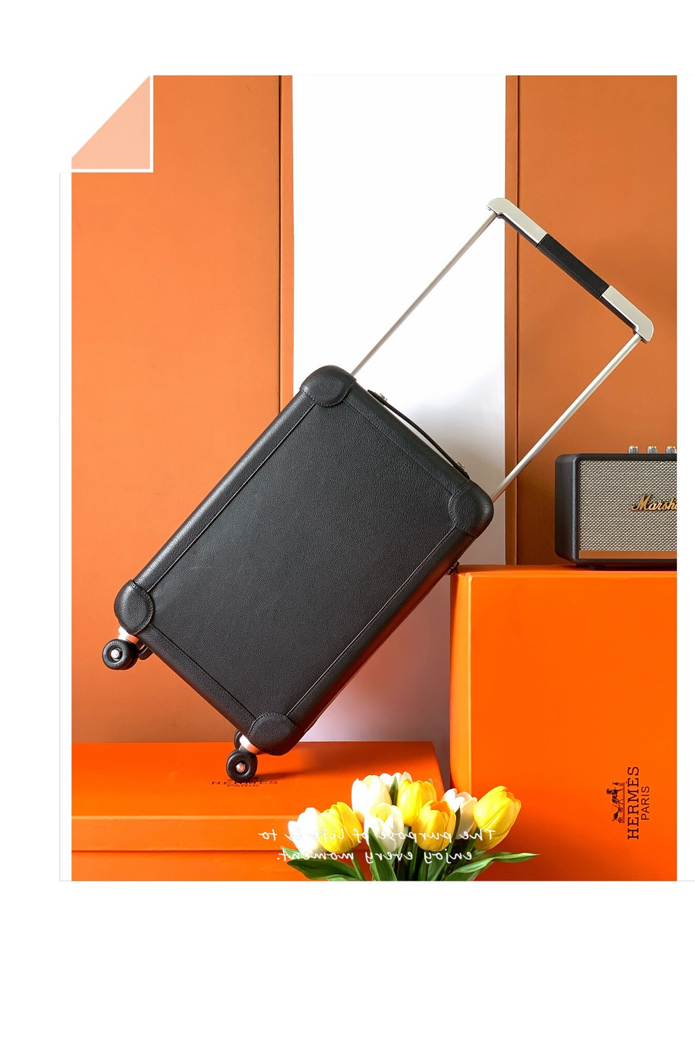 Hermes R.M.S Cabin Suitcase
