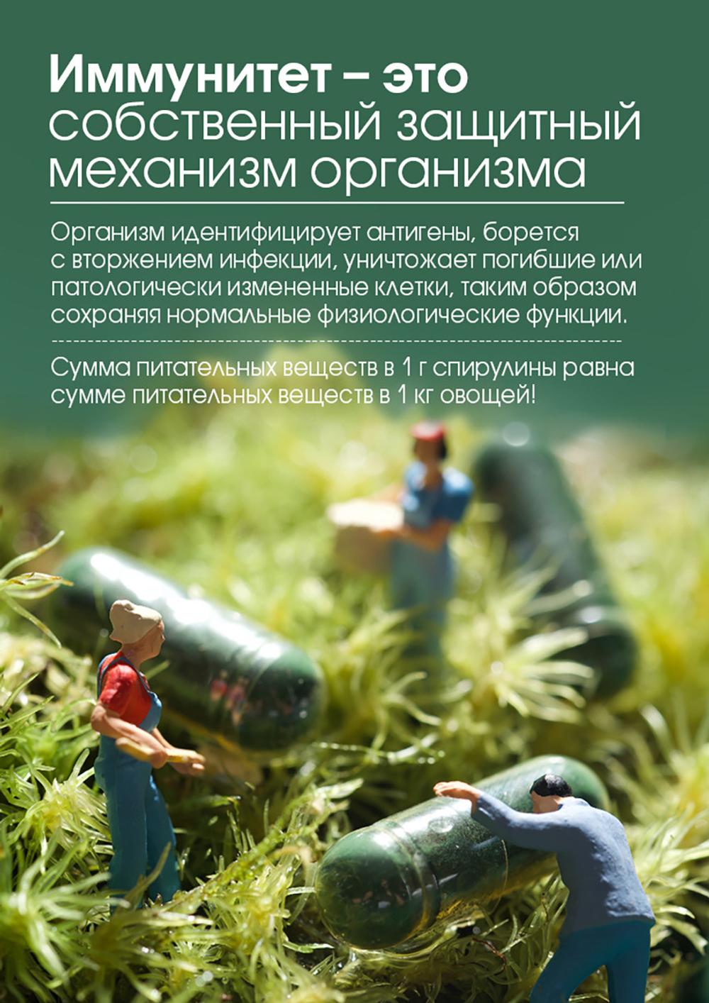 БАД к пищи "Спирулина в капсулах "Тяньши" (капсулы массой 250 мг)