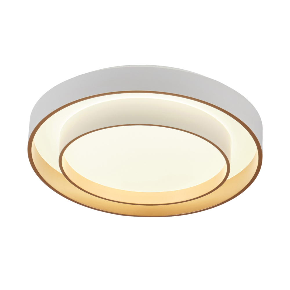 Потолочный светодиодный светильник с пультом MyFar Rhea MR9161-CL