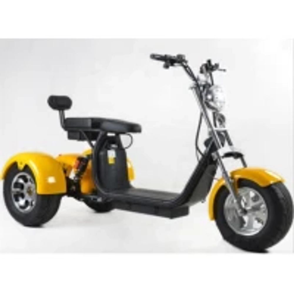 Электроскутер CityCoco Skyboard MyRussia (Маруся) BR60 3000W Trike