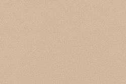 Велюр Prince / Принц