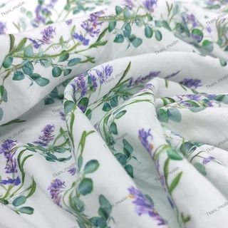 Лаванда с эвкалиптом