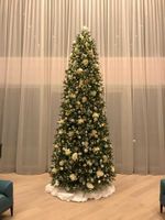 Ствольная елка «Алтайская узкая» (Литая хвоя) от 3,5 м до 6 м