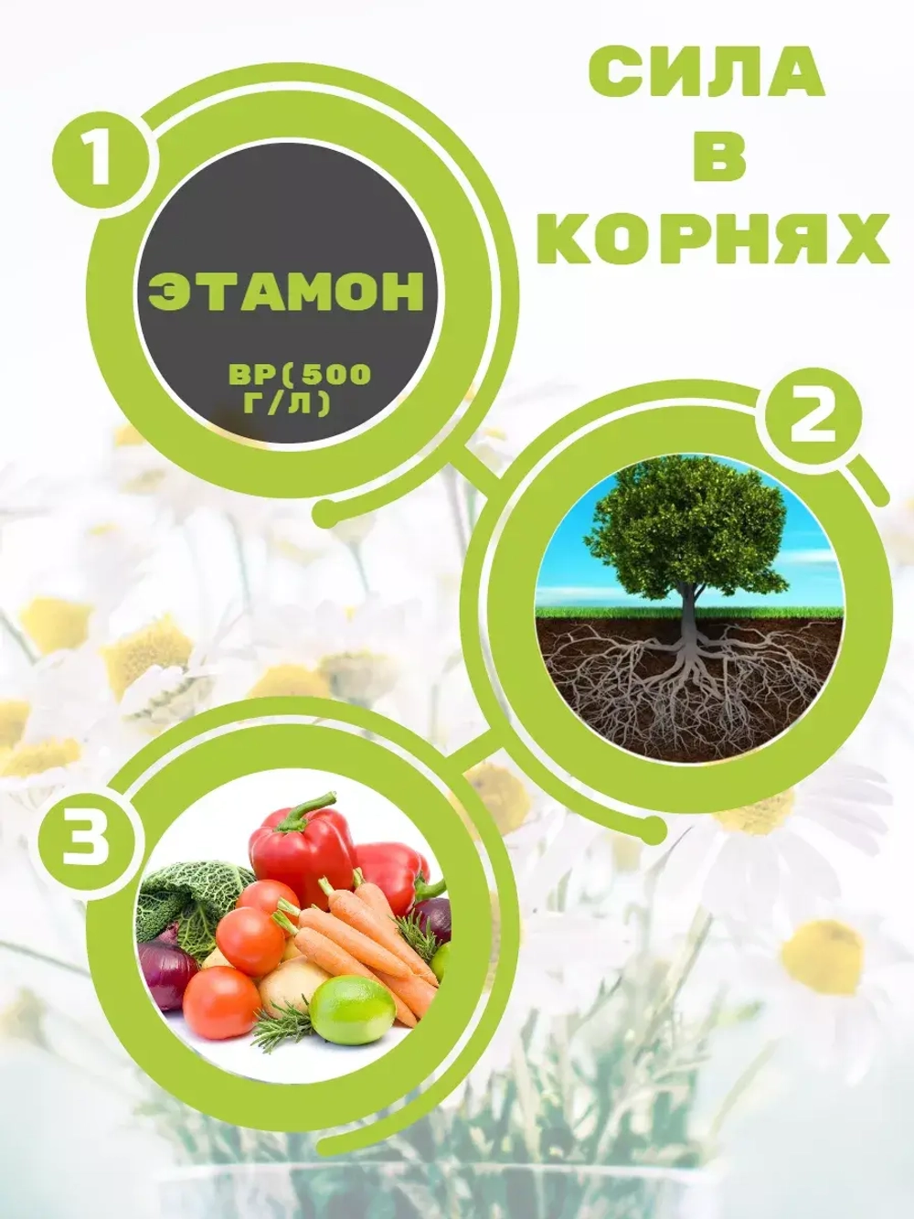 Стимулятор роста, стимулятор корней Этамон 0.5 л