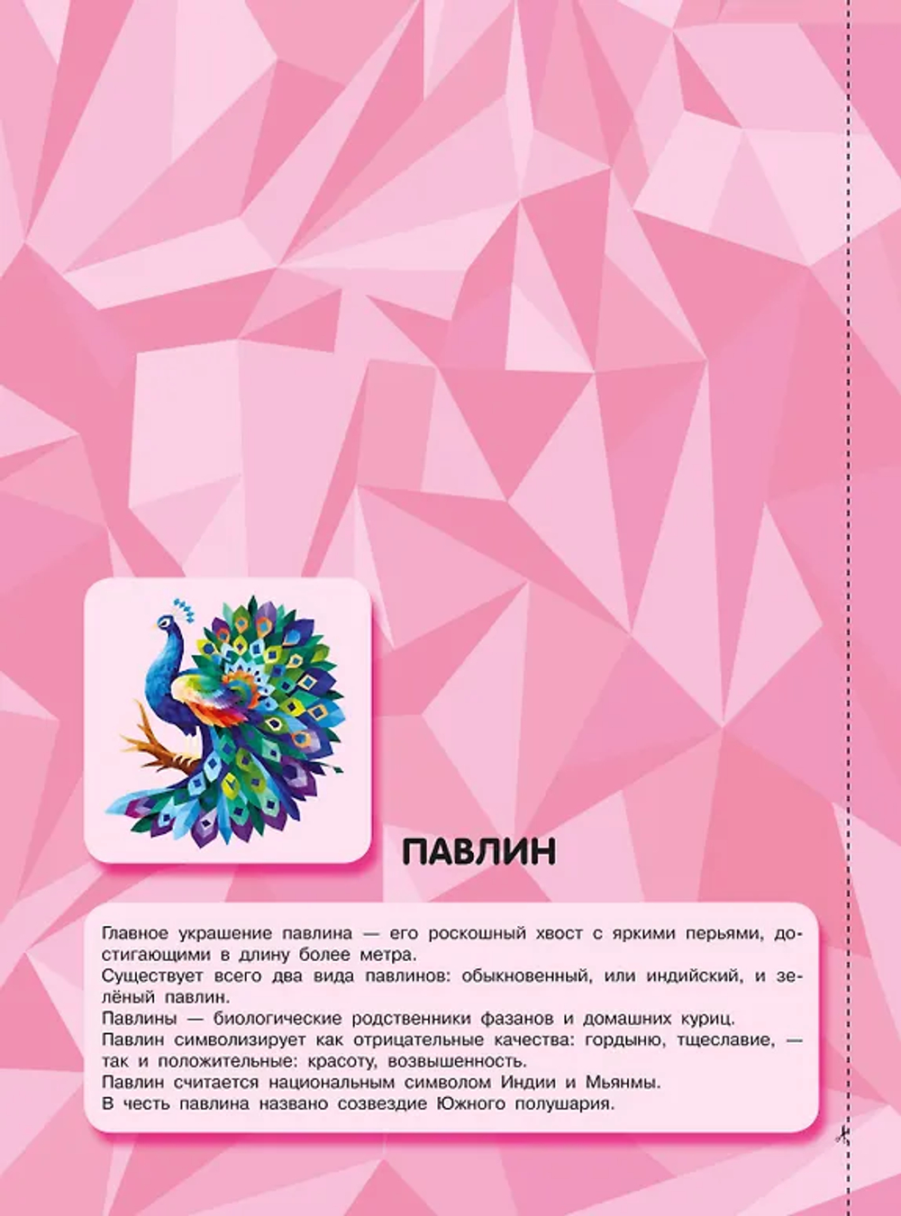 Птицы