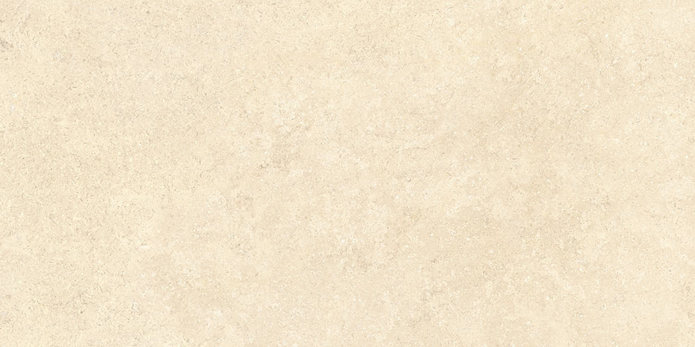 60х120 SandStone Песочный Матовый R10A Ректификат