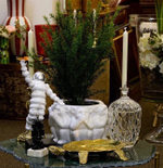 Кипарис в кашпо [Арт. 3628106]