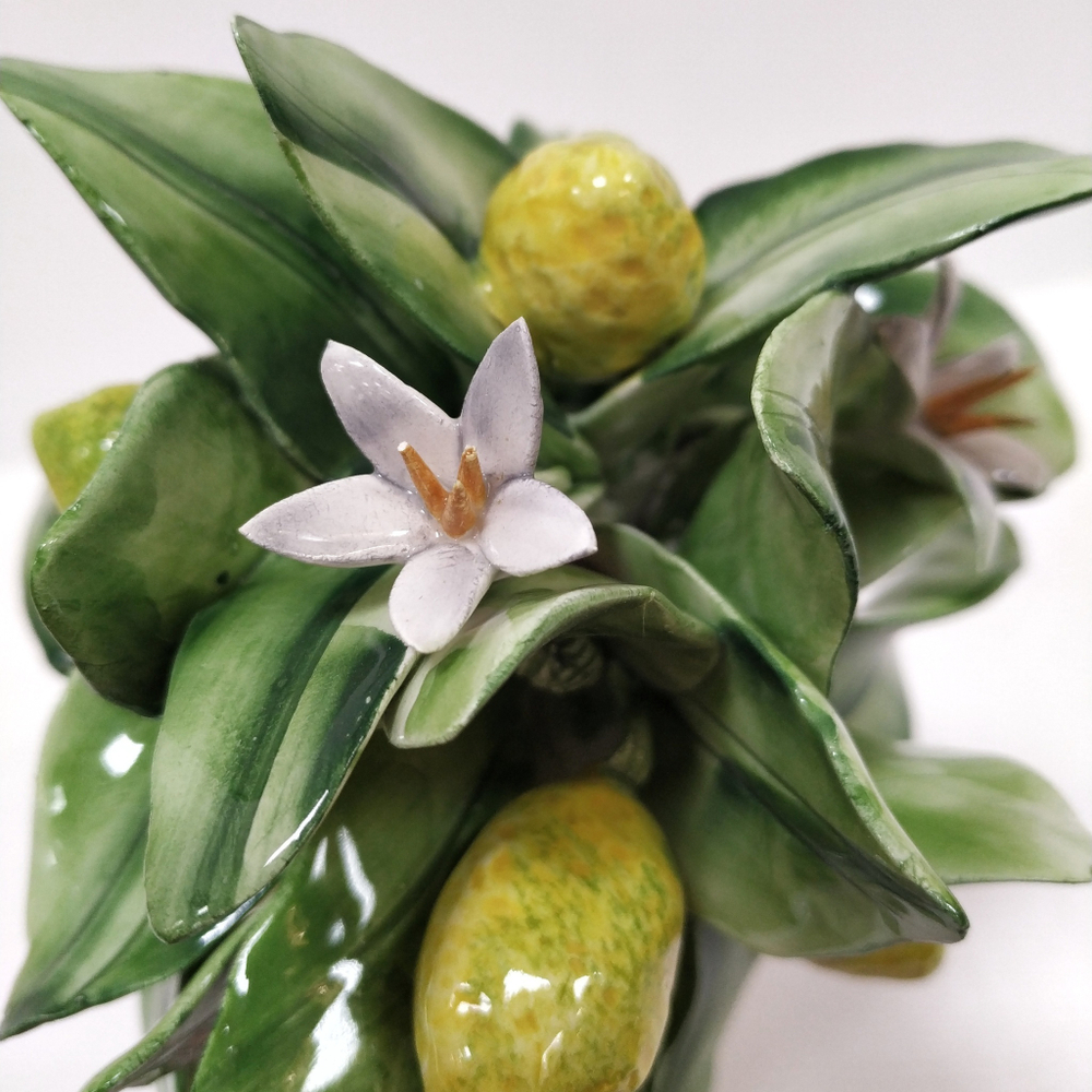 Лимоны в горшочке