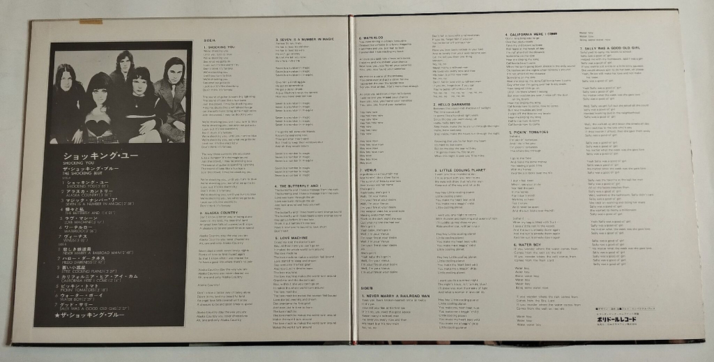 Винтажная виниловая пластинка LP Shocking Blue Shocking You (Japan 1971) (No Obi) (EX)