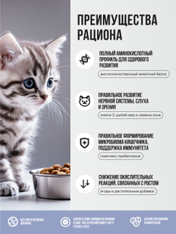 Сухой корм Bowl Wow для котят с индейкой, курицей и черникой - 1,5 кг