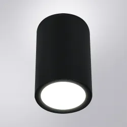 Уличный потолочный светильник Arte Lamp TORCULAR