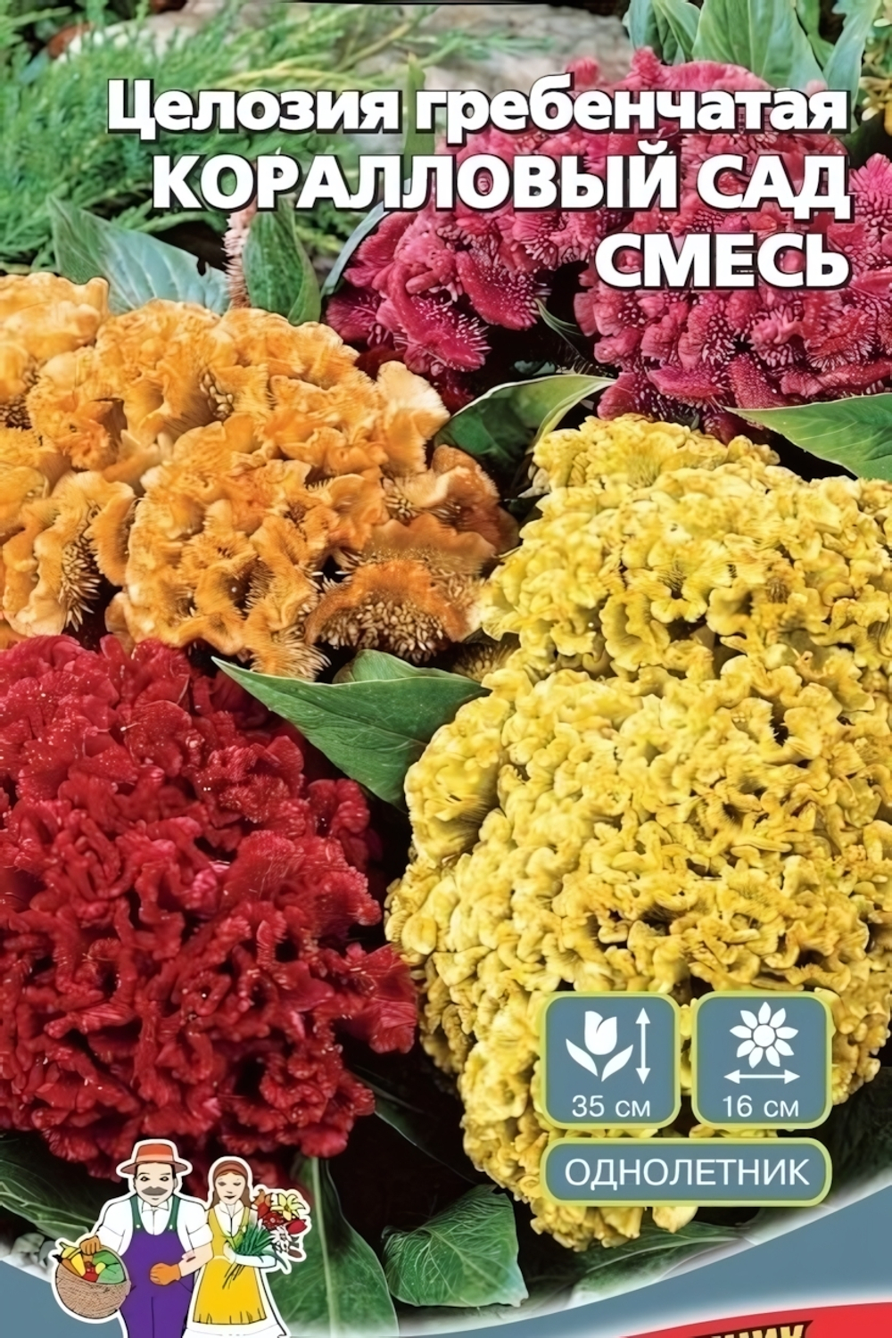 Семена Целозия Коралловый сад - гребенчатая 0,1гр (УД) Е/П