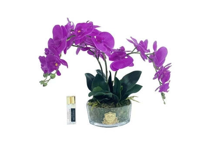 Букет ароматический Oval Orchid Fuschia