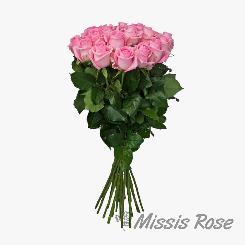 Букет 25 розовых роз премиум 70 см