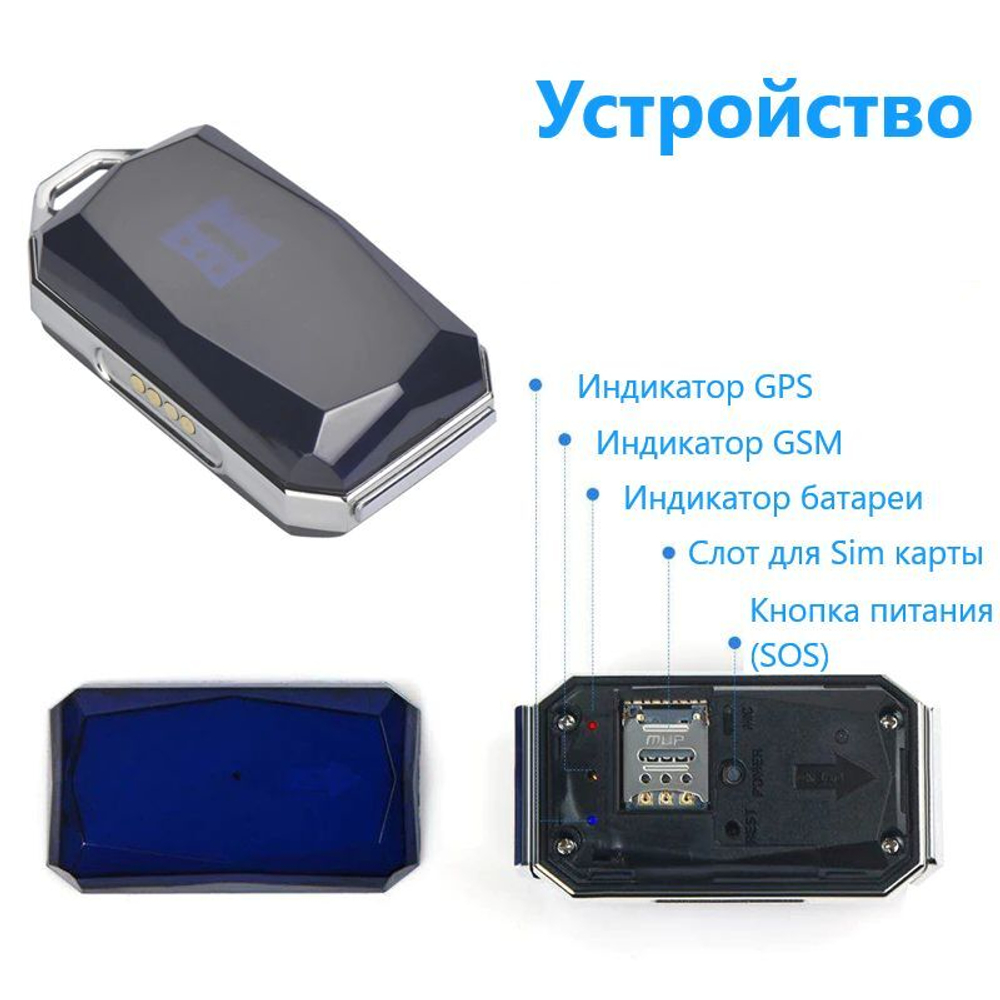 GPS G12P (кошка)