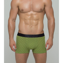 Мужские трусы боксеры зеленые Salvador Dali SD2023-4