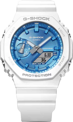 Часы Casio GA-2100WS-7A