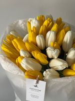 Букет из 51 белого и желтого тюльпанов