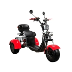 Skyboard TRIKE BR40-3000 PRO FAST OFF-ROAD