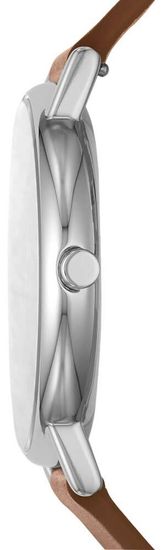 Мужские часы Skagen SKW6578