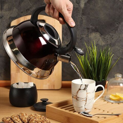 Чайник нерж, 3 л, свист, ручк пластик, Daniks, вишн, M-012