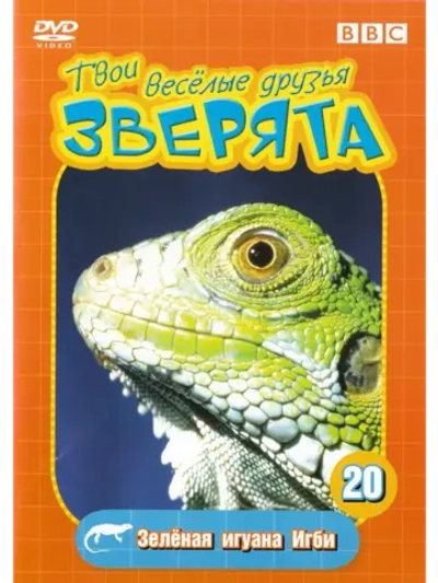 BBC: Зеленая игуана Игби (DVD-R)