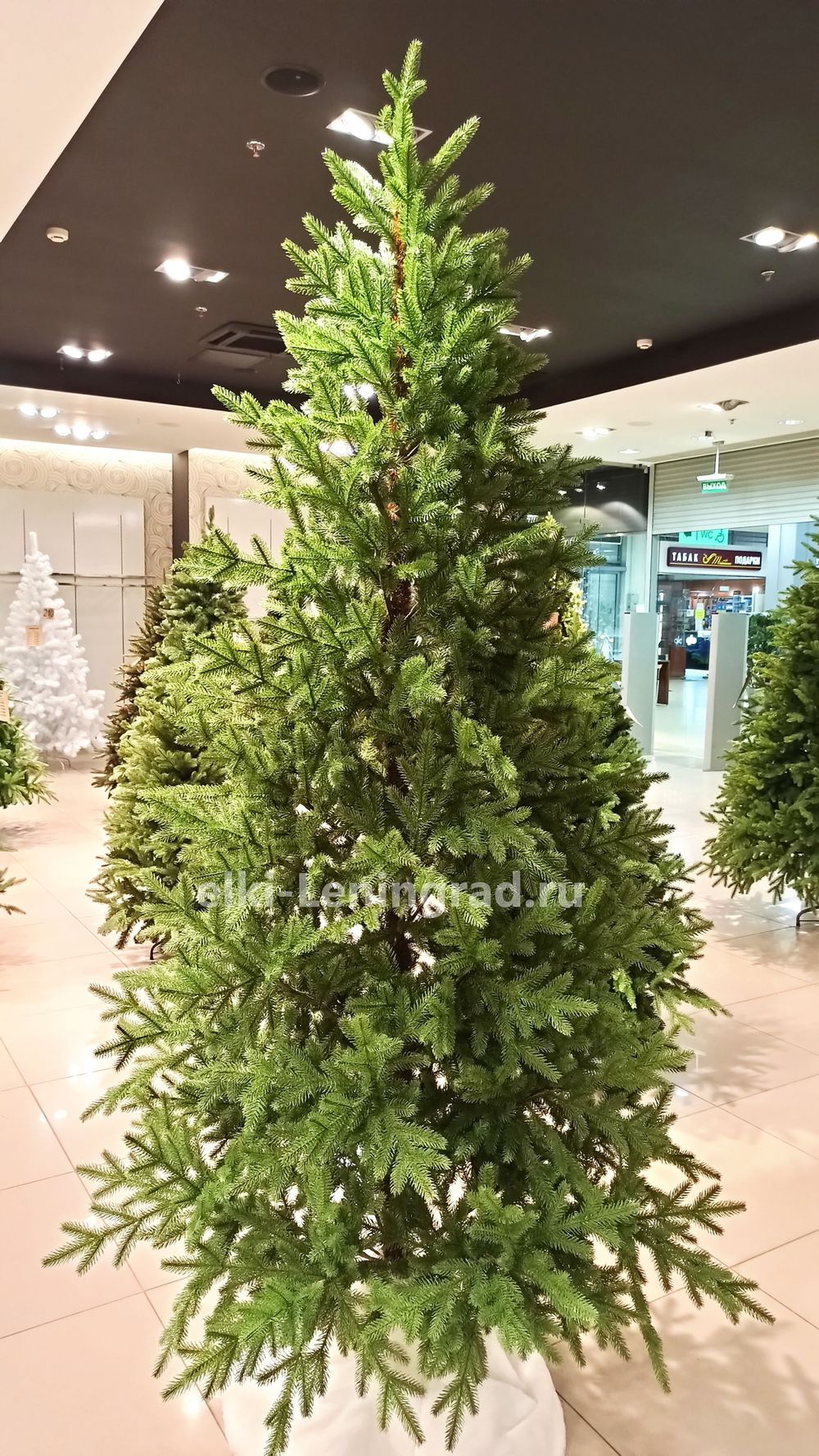 Елка искусственная «НОРДМАН» (Литая) от 210 см / 2.1 м