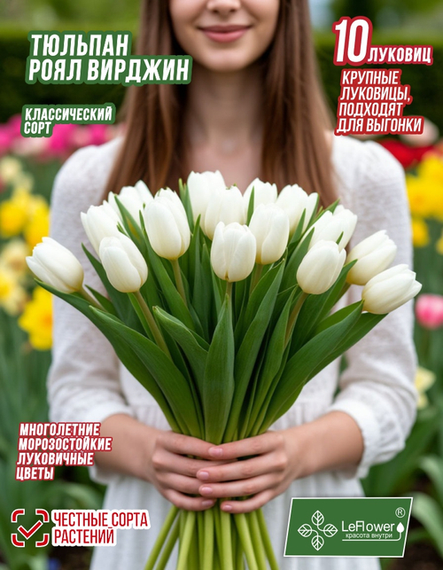 Тюльпан Роял вирджин, 10 луковиц, крупные