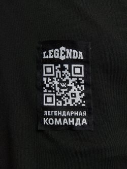 Комплект термобелье мужское с начесом LEGENDA Urban черный