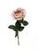 Роза Тиара - Дымчато-лиловый