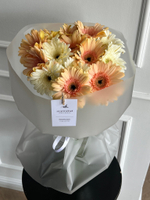 Букет из гербер в кремовом оттенке 15 шт