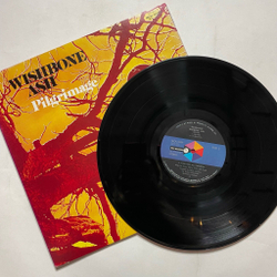 Винтажная виниловая пластинка LP Wishbone Ash Pilgrimage (Japan 1980) (No Obi)