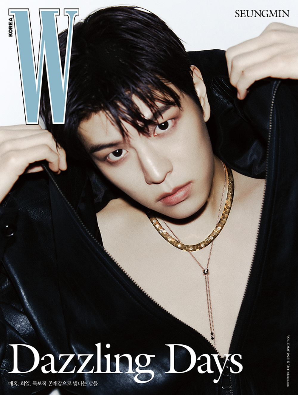 публикация W - 2025 VOL.5 SEUNGMIN C Type