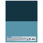 Тетрадь на кольцах А5 175х215 мм, 120 л., твердый картон, клетка, BRAUBERG, "In Dreams", 404084