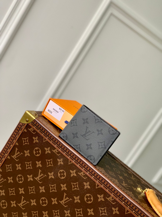Louis Vuitton Multiple Wallet