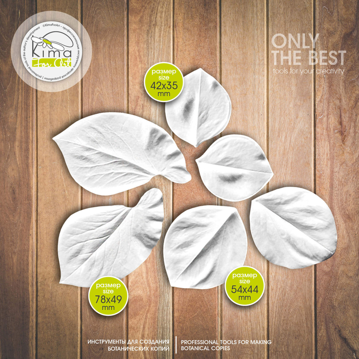 Душистый горошек листья набор