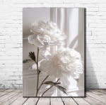 Белые пионы