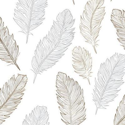 Тонкие перья на белом