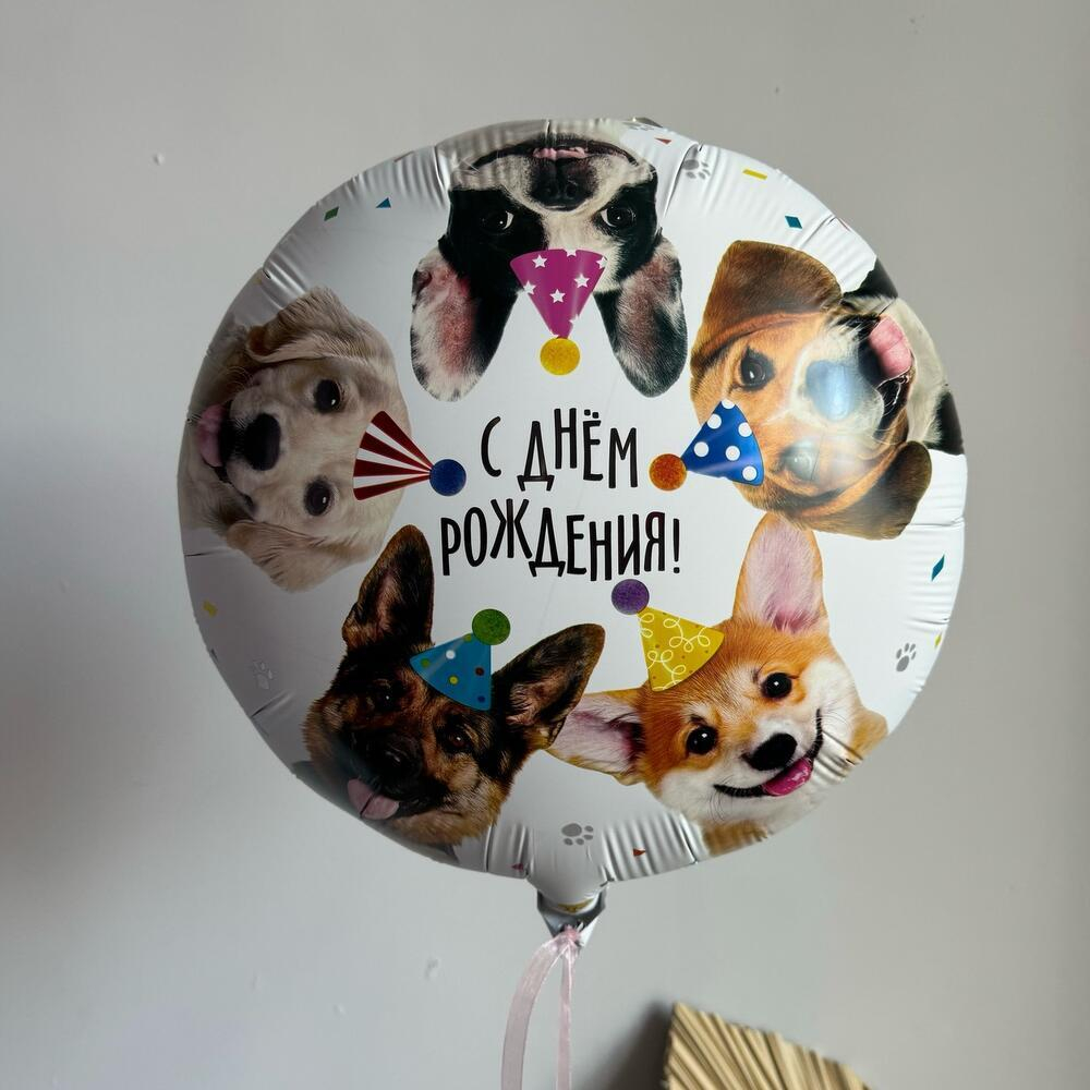 Шар фольгированный «С Днем Рождения. Собачки», 46 см