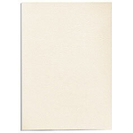 Обложки Delta A4,  Fellowes®, цвета слоновой кости, 100 шт., картон с тиснением под кожу