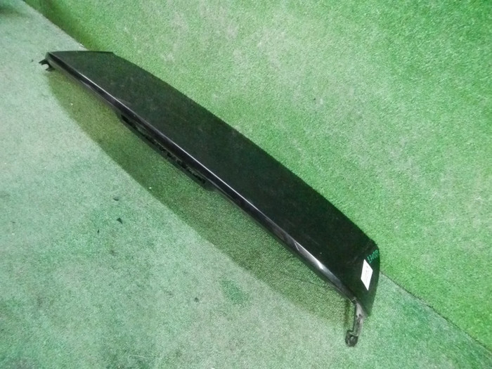 DSCN1979.JPG