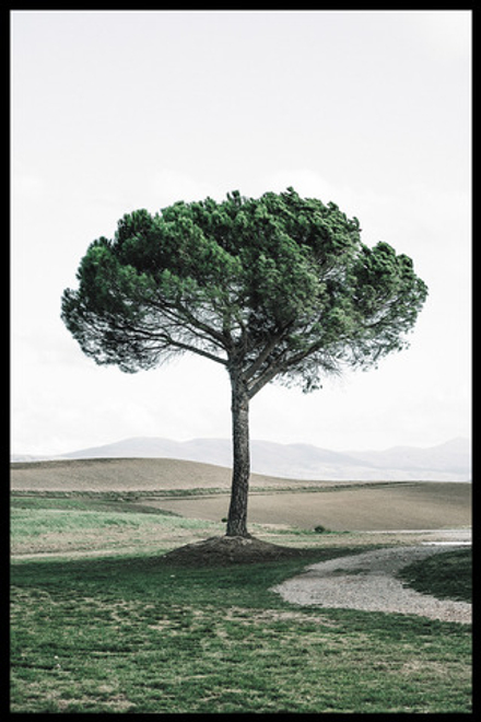 Интерьерная картина в технике цифровой печати. АРТ 066 Природа