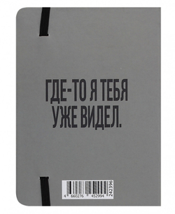 Записная книжка на резинке А6 64 л. КОКОС Гусь Гагарик (242396)