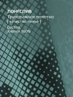 Лонгслив для мальчика, зеленый