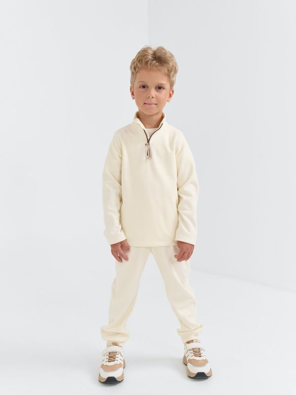 Олимпийка флисовая 